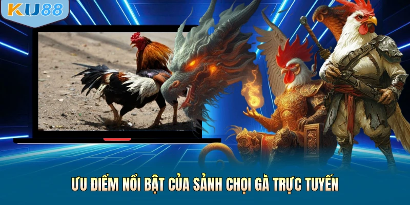 Ưu điểm nổi bật của sảnh chọi gà trực tuyến
